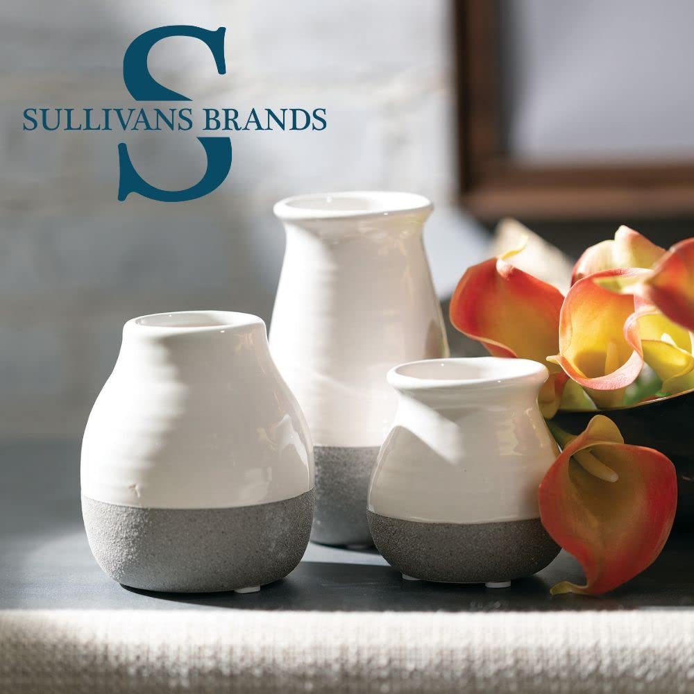 Sullivans Bud Vases, Farmhouse, Mantle & Shelf Decor Decorations for Living Room, Bathroom, Kitchen & Office, Coffee Table Decor, Petite Boho Vases, Rustic Decor For Your Home (CM2583)