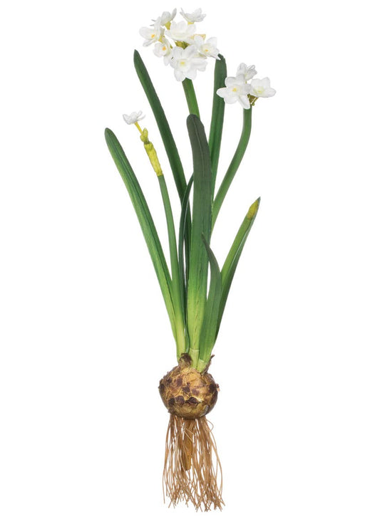 Sullivans Paperwhite Flower with Bulb Stem 20", White Narcissus Stem with Bulb, White Small Daffodil Floral Stem Artificial Flowers, Lifelike Paperwhite Realistic Flower (GG511)