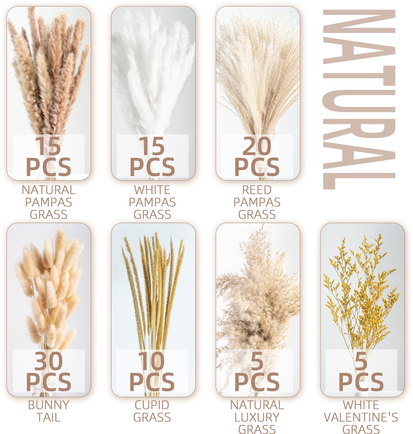 96PCS Natural Dried Pampas Grass Boho Home Decor Bouquet Phragmites Dried Flowers Bouquet for Wedding Floral Arrangements Home Decorations (96PCS)